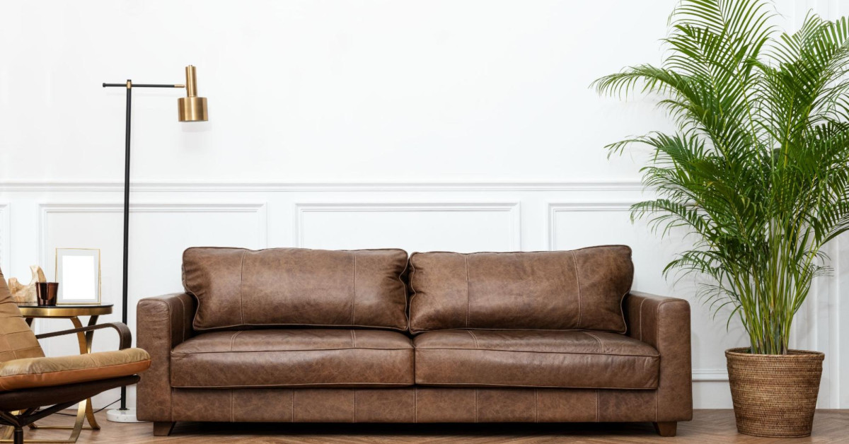 Leather Sofas